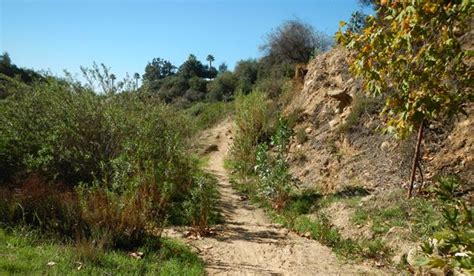 Altadena Crest Trail - Trails - Los Angeles County