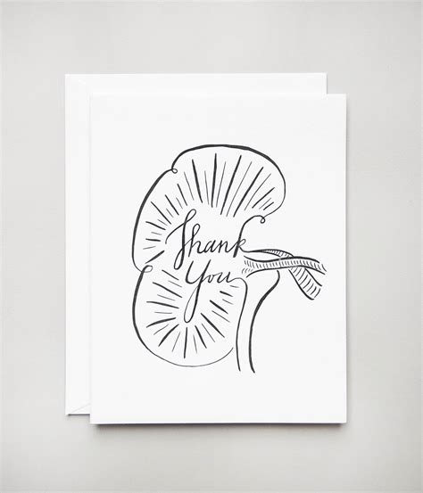 Kidney Thank You – Paper Script