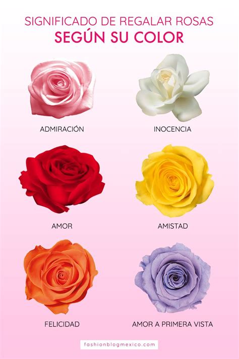 Delgado Disparidad Comprimir significado del color de las flores ...