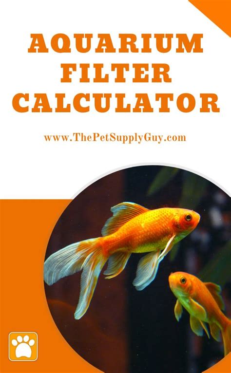 Aquarium Filter Size Calculator - The Pet Supply Guy | Aquarium filter, Fish tank, Aquarium