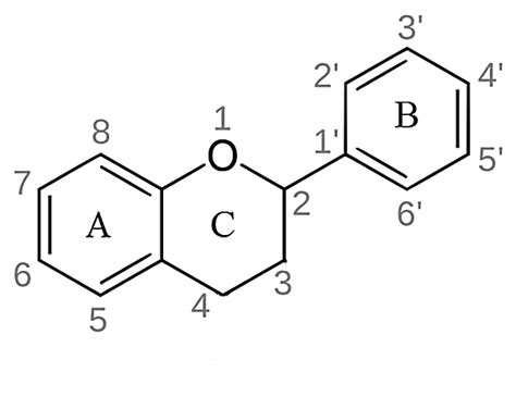 Basic structure of flavonoid (18) . | Download Scientific Diagram