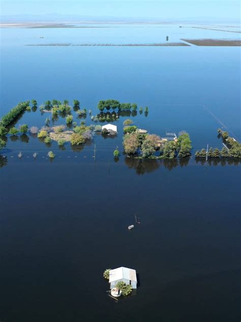 Exploring the Mysteries of Tulare Lake: Contaminants & the Wildlife - Sustainability Awakening