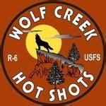 Wolf Creek Interagency Hotshots | Wildland firefighter, Wildland fire, Forest fire