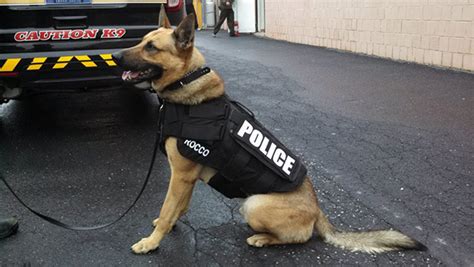 Anderson Cooper Donates Lifesaving Vests For ALL K9 Members Of A Virginia Police Department