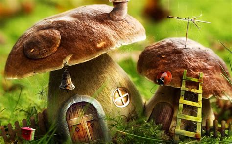 Mushrooms House Wallpaper Photo Manipulated Nature Wallpapers in jpg ...