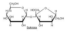 Sukrosa