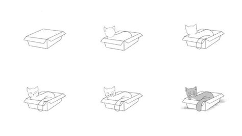 Draw a Cat in a Box in Quick and Easy Steps