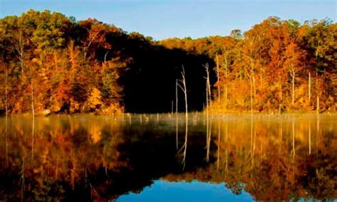 The Road Less Traveled: Arkansas Fall Foliage Scenic Drives | Arkansas.com