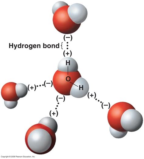 What is anomalous expansion of water? - PhysicStuff