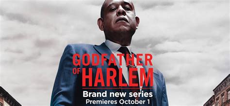 Godfather of Harlem TV show. List of all seasons available for free ...