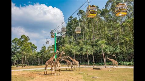 GD8 Chimelong Safari Park - Guangzhou - China - (2016) - YouTube