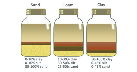 What Kind of Soil Do You Have? Take the Test - Water News Network - Our Region's Trusted Water ...