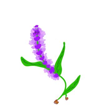 Lavender Flower Cartoon Characters, Lavender Flowers, Lavender Flower Illustration PNG ...