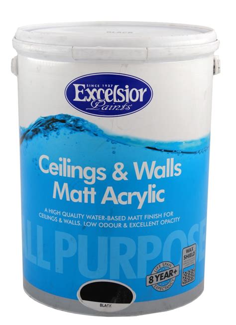 Excelsior Ceiling & Walls Matt Acrylic Paint - WH Hardware and Building ...