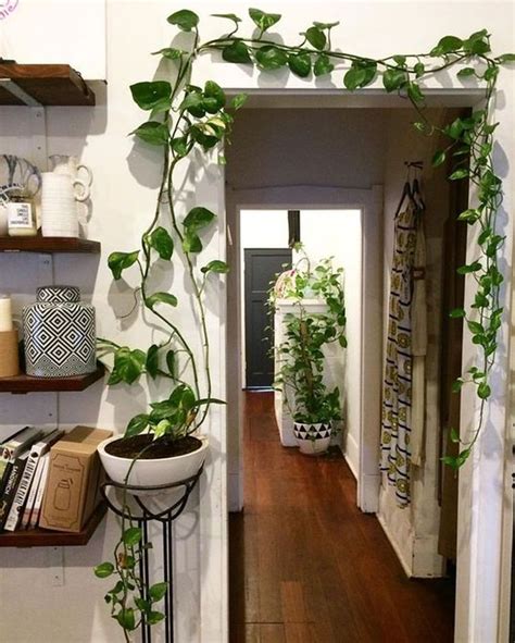 20+ Creative Home Design Ideas You Need To Try To | House plants indoor, Easy house plants ...