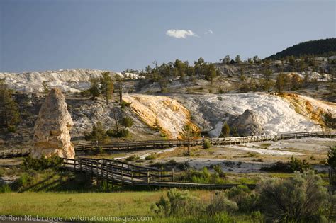 Mammoth Hot Springs | Photos by Ron Niebrugge