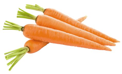 carrot images hd png - Clip Art Library