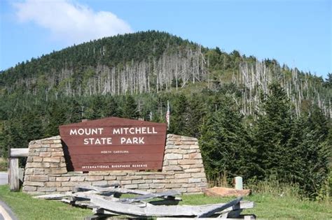 Mount Mitchell State Park (Burnsville) - 2020 All You Need to Know ...