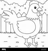 Chicken Coloring Page For Kids Stock Vector Image & Art  Alamy sketch template
