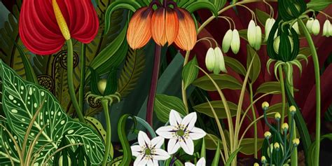 botanical wallpaper - Google Search | Botanical wallpaper, Botanical ...