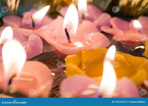 Beautiful Floating Candles Shaped Like Flowers Stock Photo - Image of ...