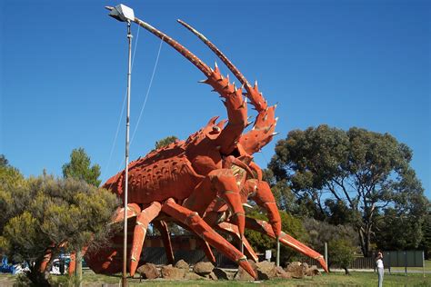 File:Kingston SE lobster.JPG - Wikipedia