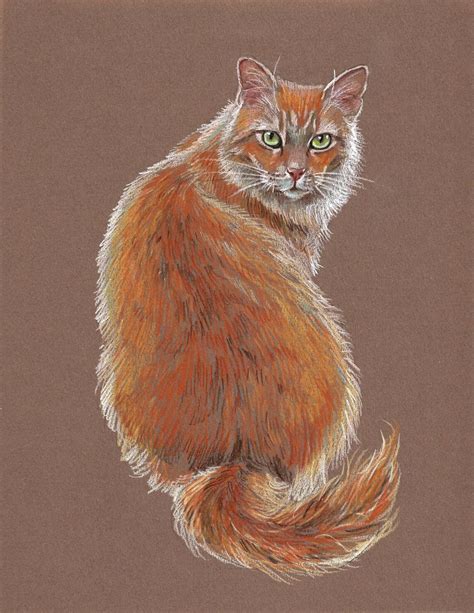 Ready to Draw the Purrfect Cat? Colored Pencil Tips You'll Love ...