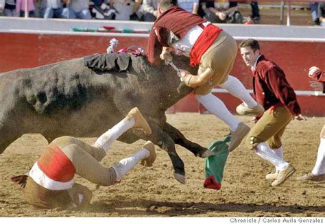 California's 'bloodless bullfights' keep Portuguese tradition alive