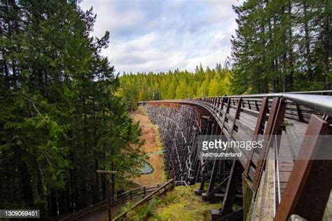 27 Kinsol Trestle Stock Photos, High-Res Pictures, and Images - Getty ...