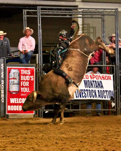 Northern Rodeo Association: Meet Your 2015 Bull Riding Champion