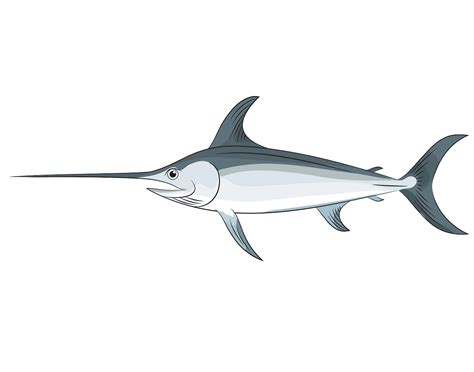 Free Swordfish Clipart, Download Free Clip Art, Free Clip Art on Clipart Library