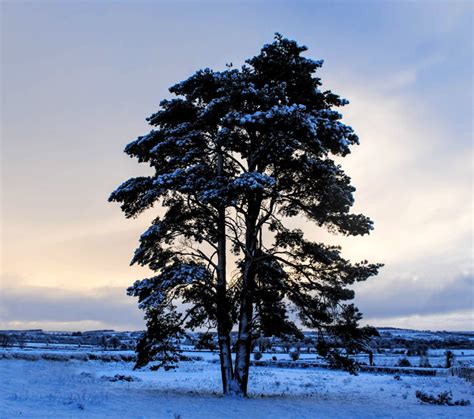 Winter in Ireland | All you need to know | Wilderness Ireland