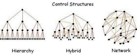 Hybrid Organizational Structure Examples