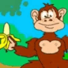 Monkey Eating Banana GIFs | Tenor