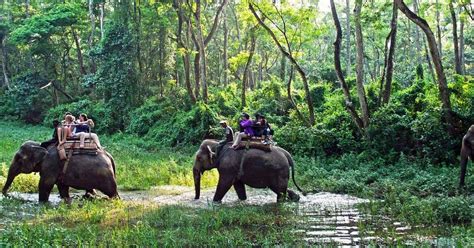 Chitwan Elephant Safari: Price, Time, Booking, Cost, Online 2021