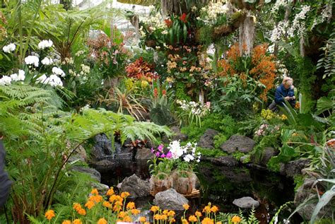 NYC ♥ NYC: 11th Annual Orchid Show Opens at the New York Botanical Garden in the Bronx