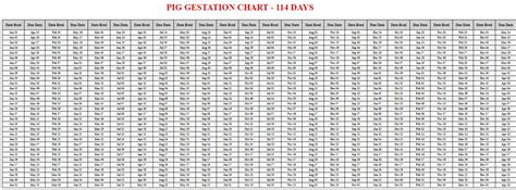 Pig Gestation Calculator & Chart {Printable} - Livestocking