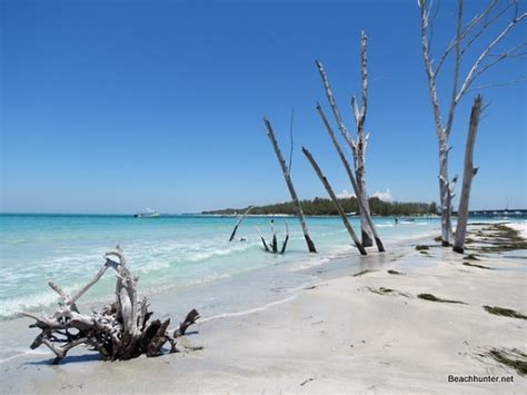 Longboat Key, Florida beaches. Photos, reviews.