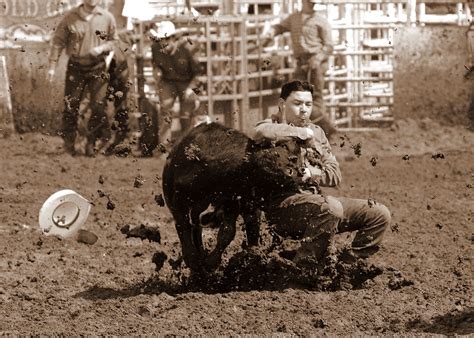 steer wrestling | Rodeo rider, Rodeo, Cowboy and cowgirl