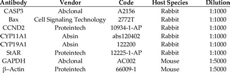 Primary antibodies used in Western blot experiments. | Download Scientific Diagram