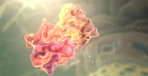 Enzyme catalysts - Hybrid Medical Animation