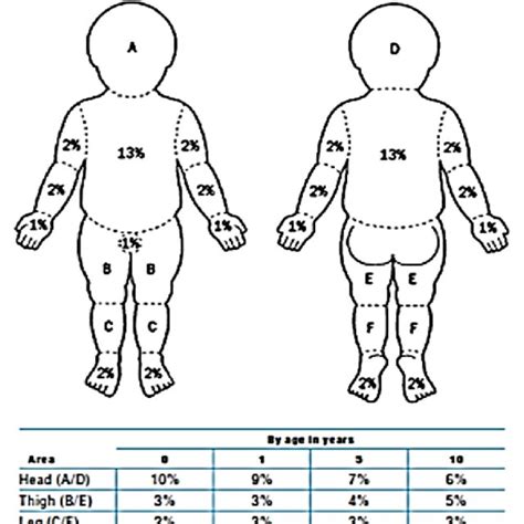 Lund And Browder Chart Calculation