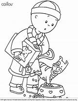 Caillou Color Pages  Coloring Nation sketch template