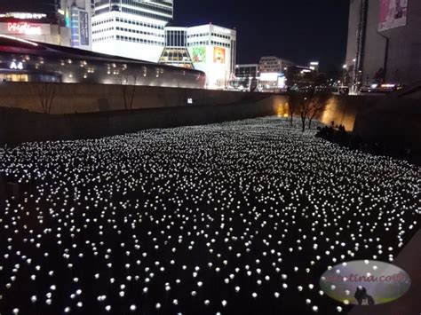 Seoul, South Korea: LED Rose Garden at Dongdaemun Design Plaza (DDP ...