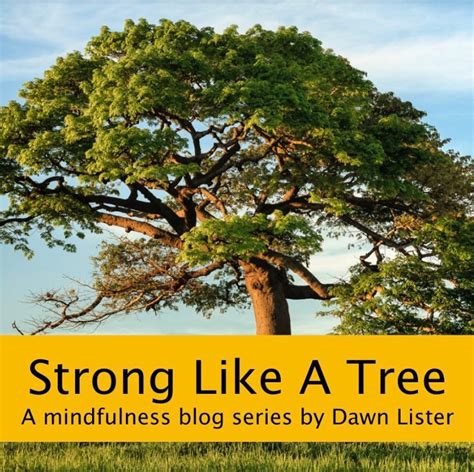 Mindful Moments: Strong Like a Tree, by Dawn Lister | Blog | Anahata Yoga Centre