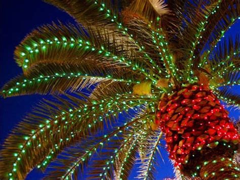 How To Decorate Palm Tree For Christmas | Psoriasisguru.com