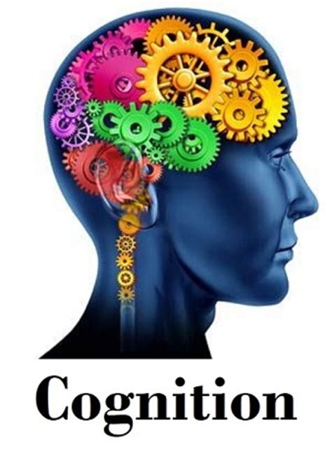 Psychology Basics: Cognition & Intelligence - HubPages