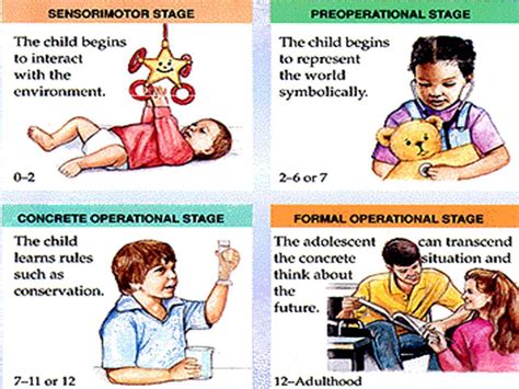 Pigaets 4 stages of development. These four stages depict ...