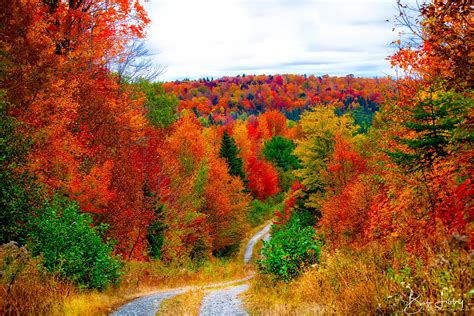 Greenville, Maine/Moosehead Lake Region | Bob Libby PhotographyBob Libby Photography