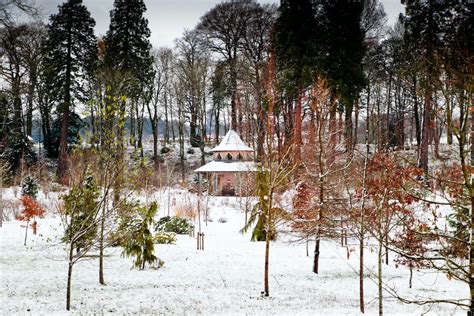 Garden of the Season - Dumfries House | Discover Scottish Gardens